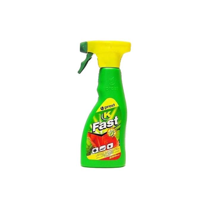 Fast K 250ml