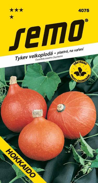 Tykev plazivá Hokkaido orange SEMO