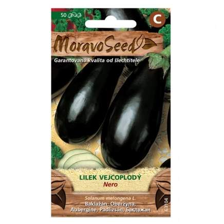 Lilek NERO (MS) MoravoSeed