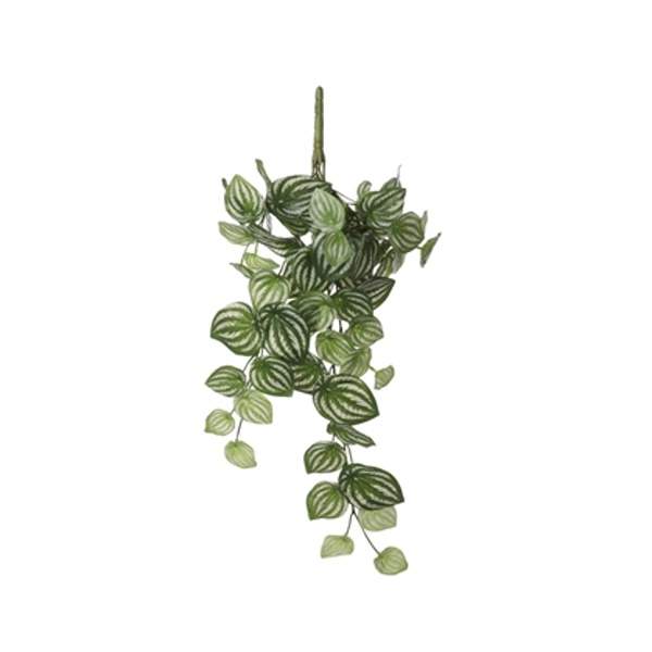 Peperomia závěs umělá sv. zelená 58cm Edelman