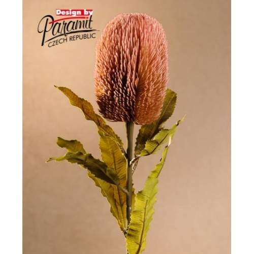 Banksia řezaná umělá růžová 65cm Paramit