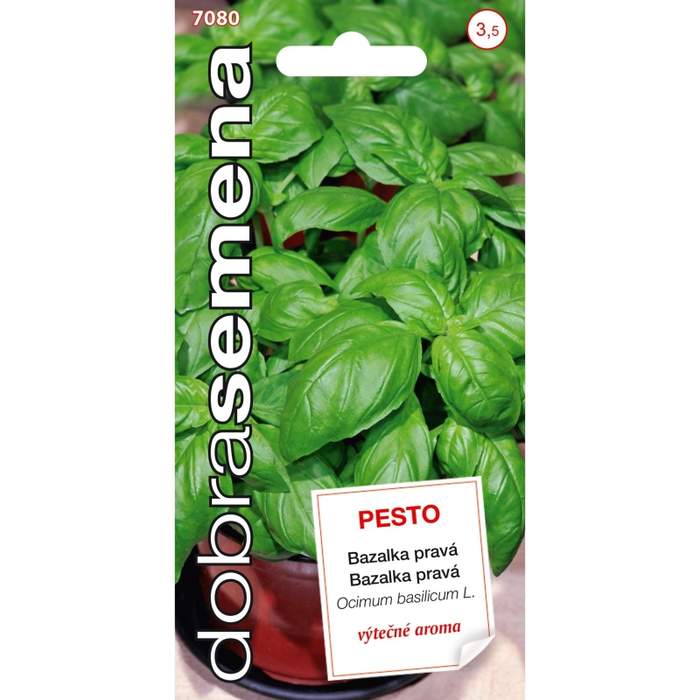 Bazalka PESTO (DS) ZC Jindřichův Hradec