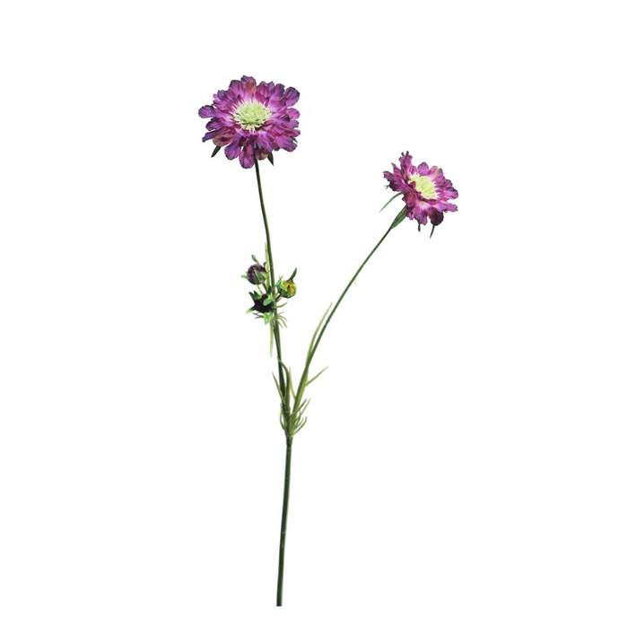 Scabiosa LIZA řezaná umělá purpurová 82cm Nova Nature