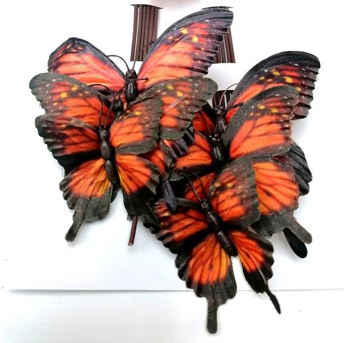 Motýl 12ks Nova Nature